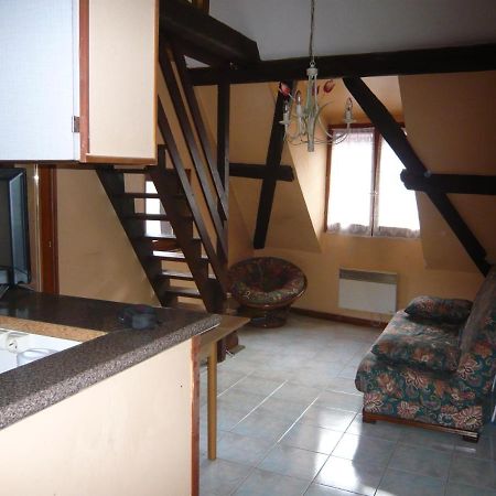 Apartamento La Cour Des Meuniers - Le Froment Et L'Epeautre Kaysersberg-Vignoble Exterior foto
