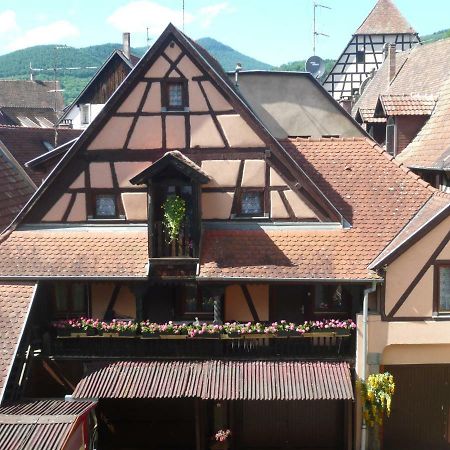 Apartamento La Cour Des Meuniers - Le Froment Et L'Epeautre Kaysersberg-Vignoble Exterior foto