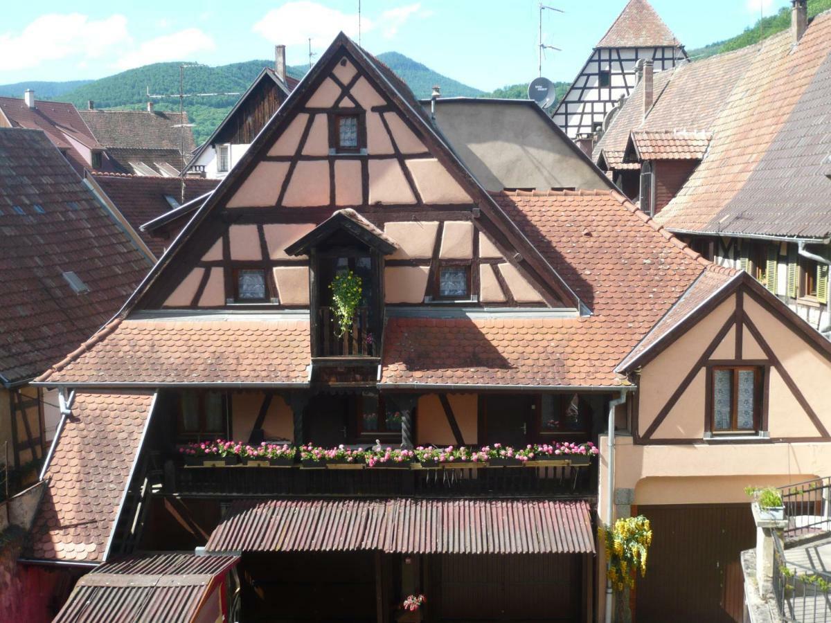 Apartamento La Cour Des Meuniers - Le Froment Et L'Epeautre Kaysersberg-Vignoble Exterior foto