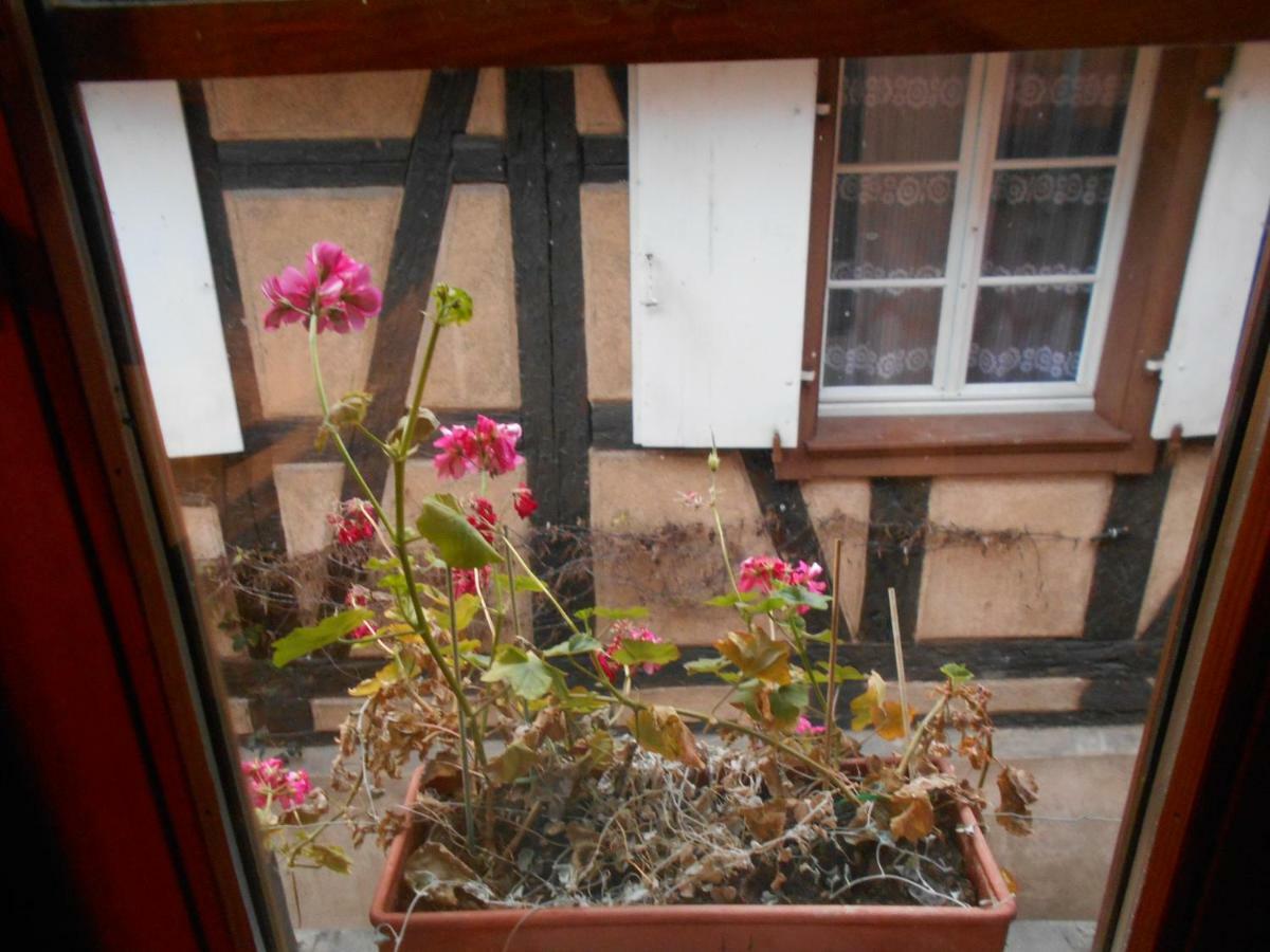 Apartamento La Cour Des Meuniers - Le Froment Et L'Epeautre Kaysersberg-Vignoble Exterior foto